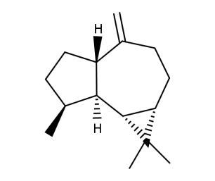 (+)-Aromadendrene