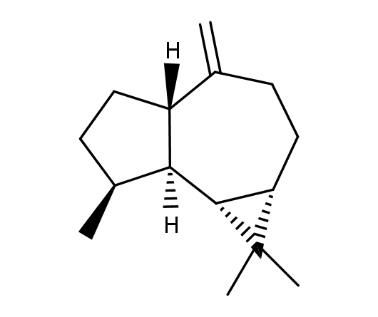 (+)-Aromadendrene