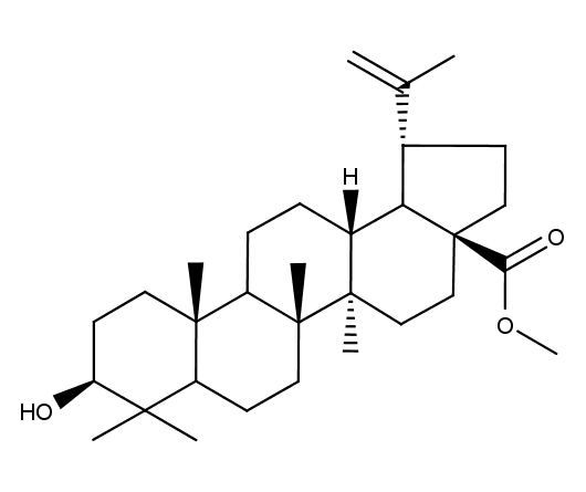 Betulinic acid methylester