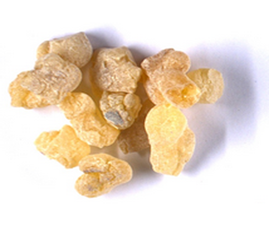 Boswellia sacra