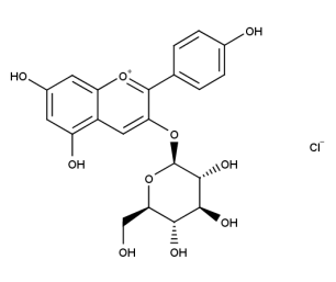 Callistephin chloride