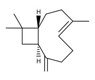 (-)-trans-Caryophyllene