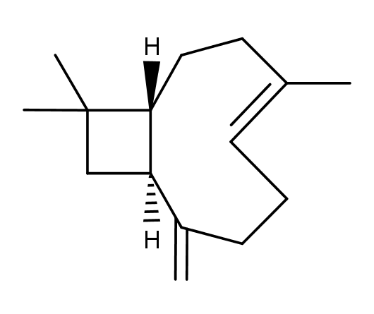 (-)-trans-Caryophyllene