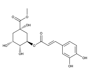 Chlorogenic acid methylester