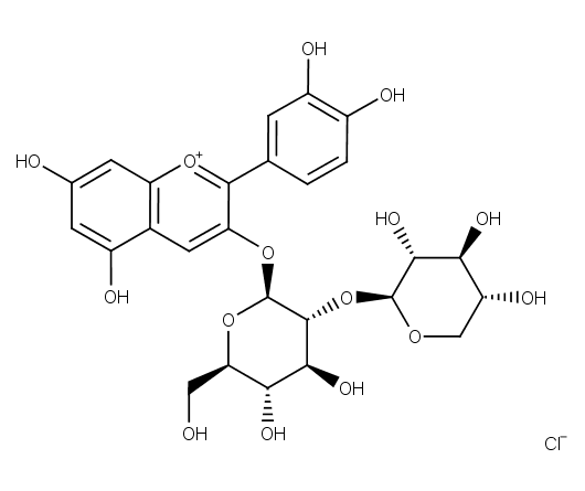 Cyanidin-3-O-sambubioside chloride