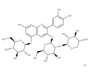 Cyanidin-3-O-sambubioside-5-O-glucoside chloride