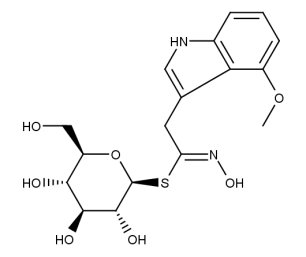 Desulfo-4-methoxyglucobrassicin