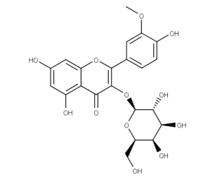 Isorhamnetin-3-O-galactoside