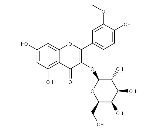 Isorhamnetin-3-O-galactoside