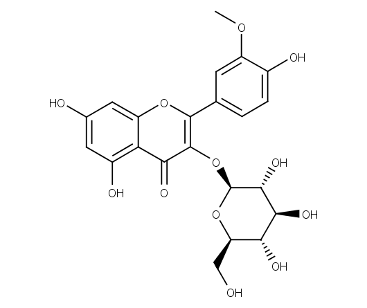 Isorhamnetin-3-O-glucoside