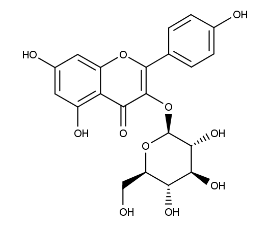 Kaempferol-3-O-glucoside