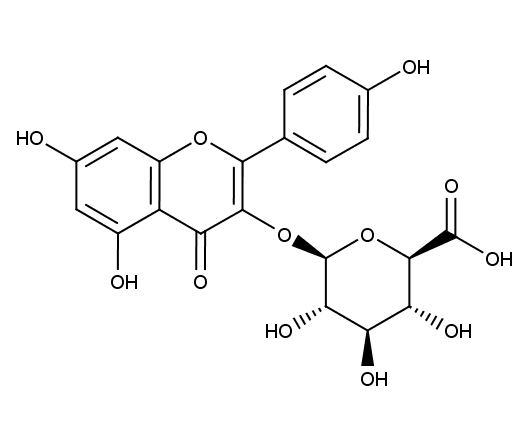 Kaempferol-3-O-glucuronide