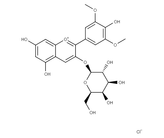 Malvidin-3-O-galactoside chloride