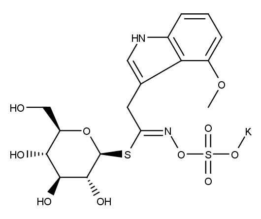 4-Methoxyglucobrassicin potassium salt