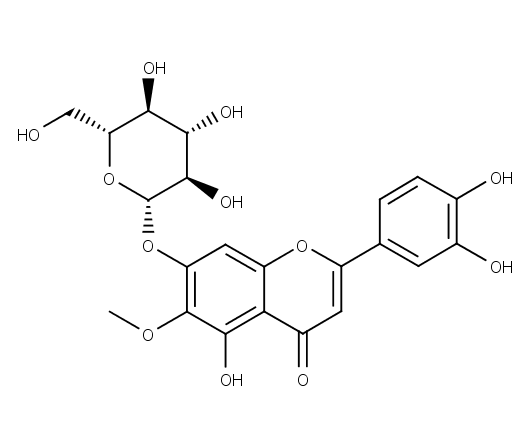 Nepetin-7-O-glucoside