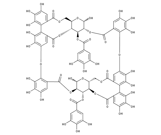 Oenothein B