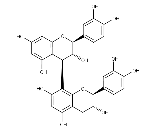 Procyanidin B3