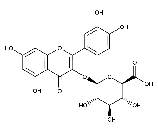 Quercetin-3-O-glucuronide