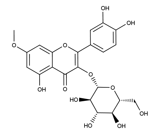 Rhamnetin-3-O-glucoside