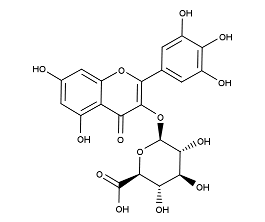 Myricetin-3-0-glucuronide